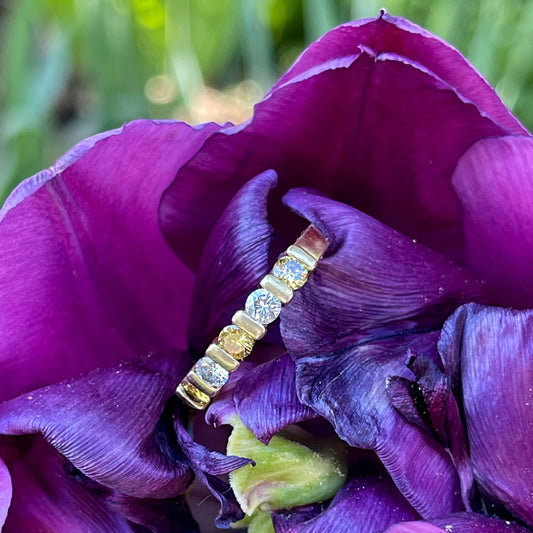 Nature’s Masterpieces: Tulip Festival Inspiration in The Glebe
