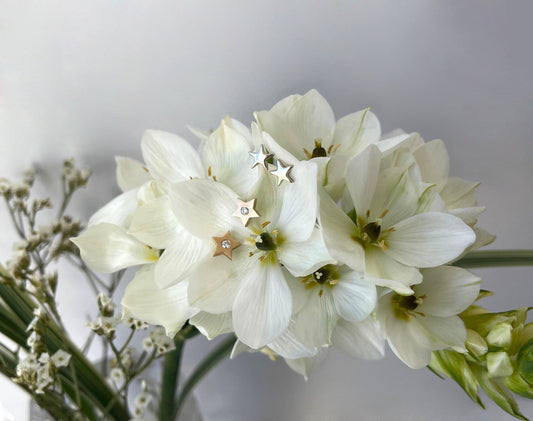 Spring in the Glebe: Welcoming the Season at Goldart 🌷